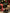 Image 96: The Christmas Petit Cake