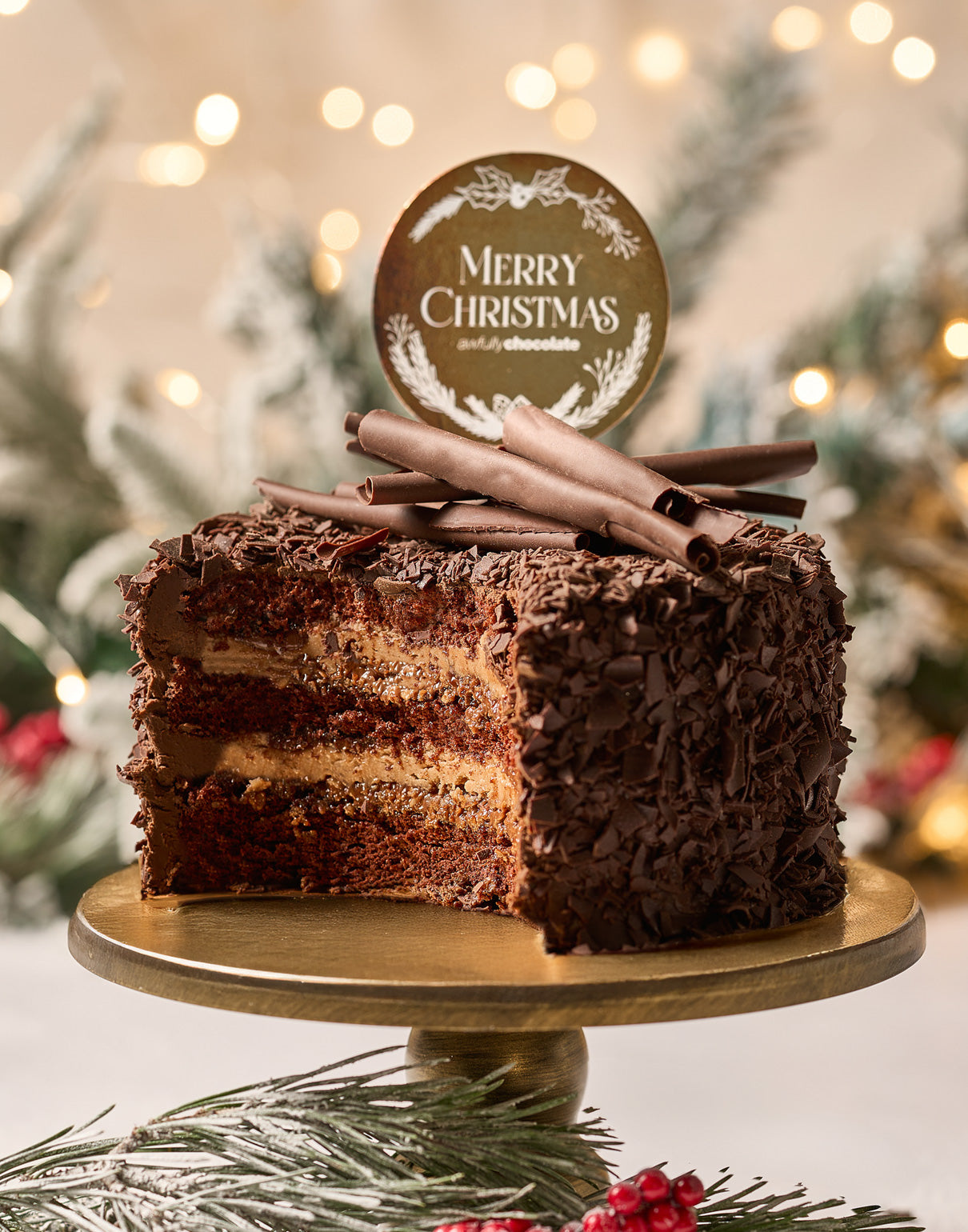 Christmas Chocolate Praline Cake