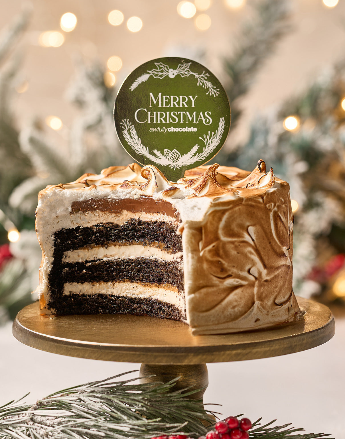 Christmas Salted Caramel Chocolate Cake