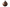 The Chocolate Milk