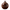 The Chocolate Milk