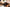 Image Grid Image 